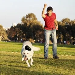 KONG Extreme Juguete Negro Para Perros -Gatos Perros Suministros Tienda 74319 kongextremeschwarz hs 02 0