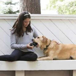 KONG Extreme Juguete Negro Para Perros -Gatos Perros Suministros Tienda 74319 kongextremeschwarz hs 03 2