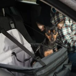 Asiento Para El Coche Booster -Gatos Perros Suministros Tienda 78030 autositz booster fg 6388 6