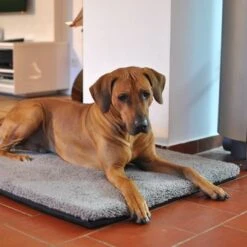 Colchón Ortopédico Pawz & Pepper Aurora -Gatos Perros Suministros Tienda 78424 petlando pawzpepper hundekissen denver hs 07 9