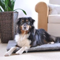 Colchón Ortopédico Pawz & Pepper Aurora -Gatos Perros Suministros Tienda 78424 petlando pawzpepper hundekissen denver hs 08 6