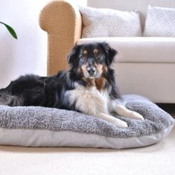 Cojín Ortopédico Pawz & Pepper Denver 25 Cojín Ortopédico Pawz & Pepper Denver -Gatos Perros Suministros Tienda 78610 petlando pawzpepper hundekissen auroraortho hs 010 3