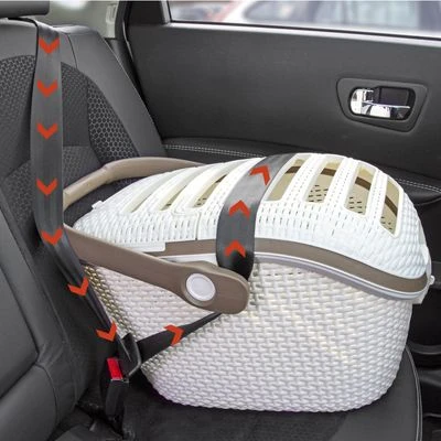 Transportín Curver Para Mascotas 11 Transportín Curver Para Mascotas - Imagen 9