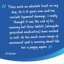 YuMOVE Comprimidos Cuidado Articular Para Perros Senior -Gatos Perros Suministros Tienda 7senior 9