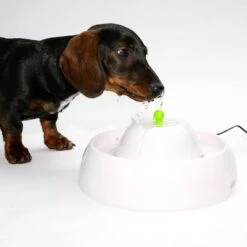 Bebedero Fuente Neptuno -Gatos Perros Suministros Tienda 80407 trinkbrunnen trevi fg nachschlag 3283 6