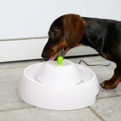 Bebedero Fuente Neptuno -Gatos Perros Suministros Tienda 80407 trinkbrunnen trevi fg nachschlag 3305 7