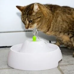 Bebedero Fuente Neptuno -Gatos Perros Suministros Tienda 80407 trinkbrunnen trevi fg nachschlag 3328 6