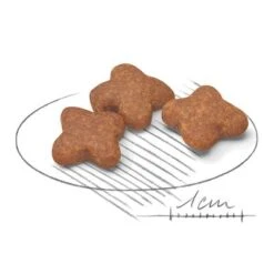 Royal Canin Mini Adult 8+ -Gatos Perros Suministros Tienda 80653 royalcanin miniadult 8plus croc hs 02 4