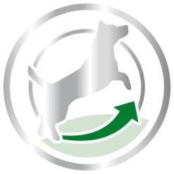 Royal Canin Mini Adult 8+ -Gatos Perros Suministros Tienda 80653 royalcanin miniadult 8plus picto hs 03 6