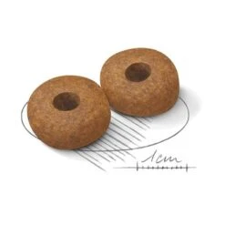 Royal Canin Medium Ageing 10+ -Gatos Perros Suministros Tienda 80734 royalcanin mediumageing 10plus 15kg croc hs 02 5