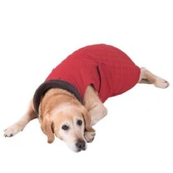 Abrigo Steppmuster Para Perros -Gatos Perros Suministros Tienda 81645 hundemantel steppmuster hund fg 8625 gespiegelt 3