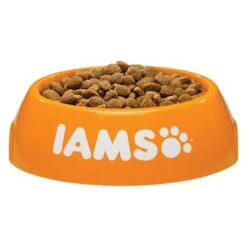 IAMS For Vitality Adult Small Medium Con Pollo Fresco -Gatos Perros Suministros Tienda 83703 iams dog adult small medium chicken 4 4