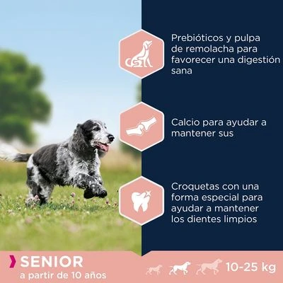 Eukanuba Caring Senior Razas Medianas 4 Eukanuba Caring Senior Razas Medianas - Imagen 2