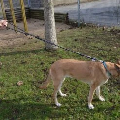 Julius K9 Correa Julius-K9 IDC® Cordino Para Perros -Gatos Perros Suministros Tienda 89141 juliusk9 idcropeleash hs 05 9