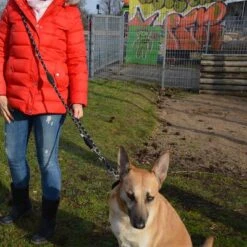 Julius K9 Correa Ajustable Julius-K9 IDC® Cordino Para Perros -Gatos Perros Suministros Tienda 89698 juliusk9 idcadjustableropeleash hs 11 2