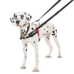 Arnés Antitirones Front Control HALTI Para Perros -Gatos Perros Suministros Tienda 94510 coa halti front controll harness hs 01 3