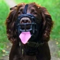 Bozal Baskerville Ultra 2.0 Con Cierres De Plástico 15 Bozal Baskerville Ultra 2.0 Con Cierres De Plástico -Gatos Perros Suministros Tienda 94512 maulkorb baskerville ultra hs15 6