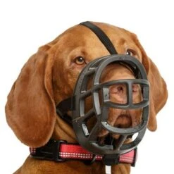 Bozal Baskerville Ultra 2.0 Con Cierres De Plástico 16 Bozal Baskerville Ultra 2.0 Con Cierres De Plástico -Gatos Perros Suministros Tienda 94513 maulkorb baskerville ultra hs7 2