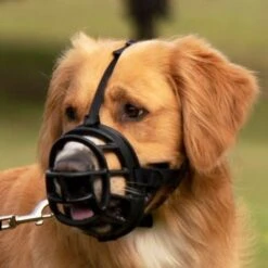 Bozal Baskerville Ultra 2.0 Con Cierres De Plástico 17 Bozal Baskerville Ultra 2.0 Con Cierres De Plástico -Gatos Perros Suministros Tienda 94515 maulkorb baskerville ultra hs14 2