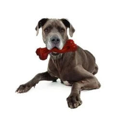 Hueso Nylabone Dura Chew Monster Aroma A Bisonte 11 Hueso Nylabone Dura Chew Monster Aroma A Bisonte -Gatos Perros Suministros Tienda 94898 nylabone durra chew monster hs 05 1