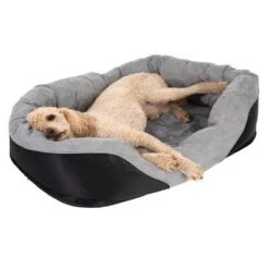 Cama Ortopédica Lazy Para Perros -Gatos Perros Suministros Tienda 98297 koenigspudel fg 4710 2