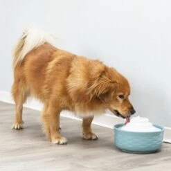 Bebedero Fuente Trixie Vital Falls De Cerámica -Gatos Perros Suministros Tienda 98396 trixie trinkbrunnen vital falls keramik hs 09 2