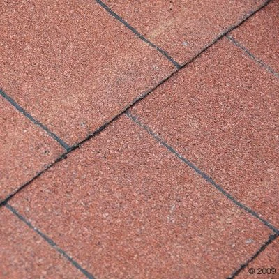 Caseta Para Perros Spike Special 7 Caseta Para Perros Spike Special - Imagen 5