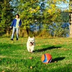 Pelota Chuckit! Kick Fetch Para Perros -Gatos Perros Suministros Tienda 99703 petmate chuckit kick fetch large hs 04 9