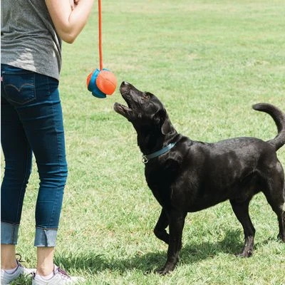Chuckit! Rope Fetch Pelota Con Cuerda Para Perros 8 Chuckit! Rope Fetch Pelota Con Cuerda Para Perros - Imagen 6