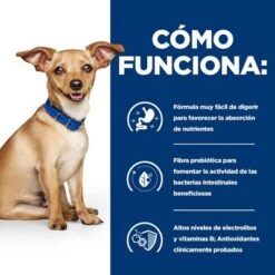 Hill's I/d Prescription Diet Digestive Care Estofado Para Perros -Gatos Perros Suministros Tienda atf 606353 how it works 2