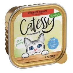 Catessy En Tarrinas 64 X 100 G - Pack Mixto -Gatos Perros Suministros Tienda catessy chunks beefinsauce 100g 1000x1000 2