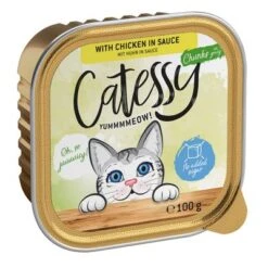 Catessy En Tarrinas 64 X 100 G - Pack Mixto -Gatos Perros Suministros Tienda catessy chunks chickeninsouce 100g 1000x1000 9