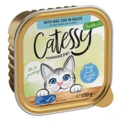 Catessy En Tarrinas 64 X 100 G - Pack Mixto -Gatos Perros Suministros Tienda catessy chunks codinsauce 100g 1000x1000 0