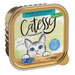 Catessy En Tarrinas 64 X 100 G - Pack Mixto -Gatos Perros Suministros Tienda catessy chunks saitheinsauce 100g 1000x1000 8