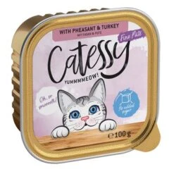 Catessy En Tarrinas 64 X 100 G - Pack Mixto -Gatos Perros Suministros Tienda catessy finepate pheasant turkey 100g 1000x1000 0