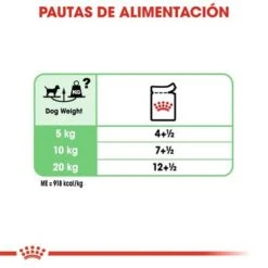 Royal Canin CCN Digestive Care Mousse Para Perros -Gatos Perros Suministros Tienda ccn 1 6