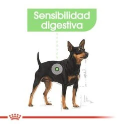Royal Canin CCN Digestive Care Mousse Para Perros -Gatos Perros Suministros Tienda ccn 3 3