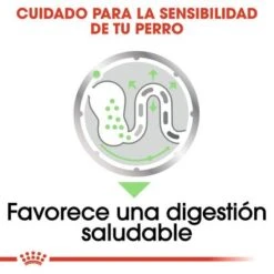 Royal Canin CCN Digestive Care Mousse Para Perros -Gatos Perros Suministros Tienda ccn 9 1