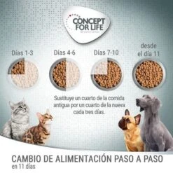 Concept For Life Golden Retriever Adult -Gatos Perros Suministros Tienda cfl board feeding 1000x1000 1 4