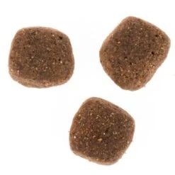 Wolf Of Wilderness The Taste Of Scandinavia -Gatos Perros Suministros Tienda dsc2634 0