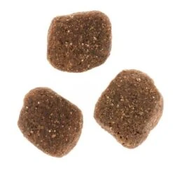 Wolf Of Wilderness The Taste Of The Mediterranean -Gatos Perros Suministros Tienda dsc2639 2