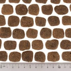 Wolf Of Wilderness The Taste Of The Mediterranean -Gatos Perros Suministros Tienda dsc2642 0