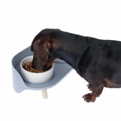 TIAKI Comedero Doble De Cerámica Para Mascotas -Gatos Perros Suministros Tienda dsc6184 0