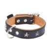 Collar De Cuero Heim Stars 2 Collar De Cuero Heim Stars -Gatos Perros Suministros Tienda dsc9109 4