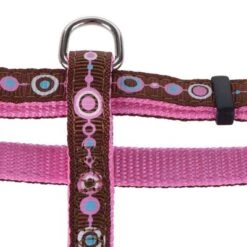 Set Hunter: Arnés + Correa Para Cachorros Y Gatos -Gatos Perros Suministros Tienda geschirre 115 8