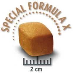 Concept For Life Golden Retriever Adult -Gatos Perros Suministros Tienda golden retriever krokette 9