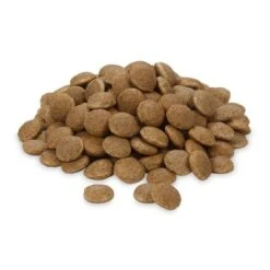 Greenwoods Insects Insectos Con Patata, Guisante Y Habas -Gatos Perros Suministros Tienda greenwoods insects 1 web 1