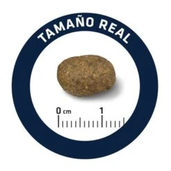 Advance Sensitive Con Cordero Y Arroz -Gatos Perros Suministros Tienda id 62158 particula es 1