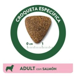 Affinity Libra Adult Con Salmón Pienso Para Perros -Gatos Perros Suministros Tienda kibble libra dog adult salmon es 3