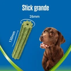 PURINA Dentalife Active Fresh Snacks Dentales Para Perros Grandes -Gatos Perros Suministros Tienda l 1 6
